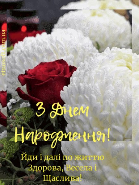 100 привітань з днем народження картинки - зображення 7