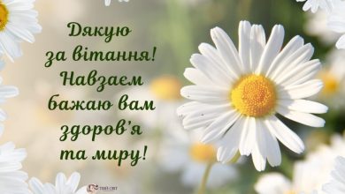 слова благодарности своими словами
