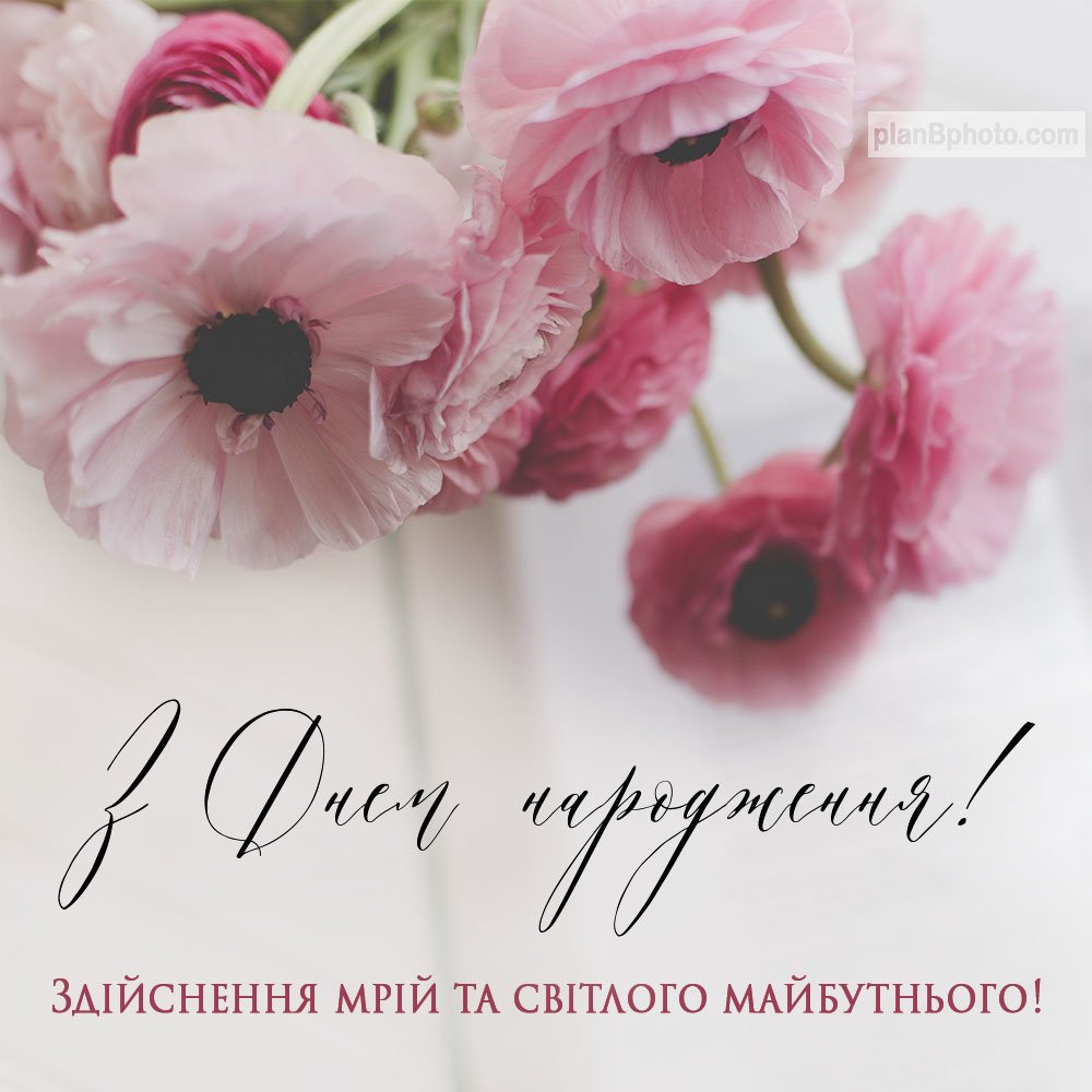с днем рождения открытка